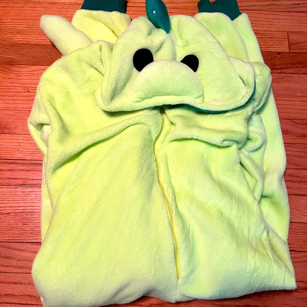 Moriah Elizabeth Pickles the Dinosaur onesie